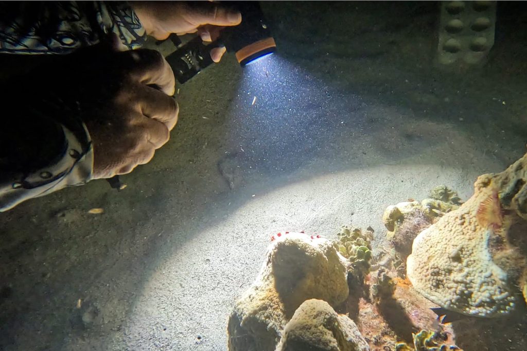 Armada de Colombia se une a la conservación de arrecifes Coralinos en Cartagena 5 e625a71c 3ed9 42af b4a5 90762582e33d