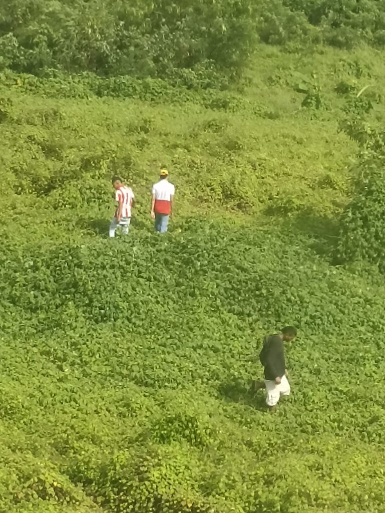 Residentes de Villas de las Colinas denuncian inseguridad y condiciones insalubres por lote enmontado y falta de limpieza 1 1efdd826 a60a 4eb8 9879 8616e0714471