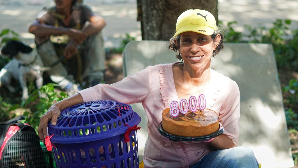 Santa Marta logra un hito en bienestar animal: 8,000 esterilizaciones gratuitas en un año 1 GdKT5vHWcAAiRZs 1