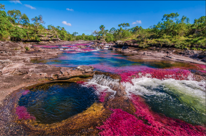 Caño Cristales