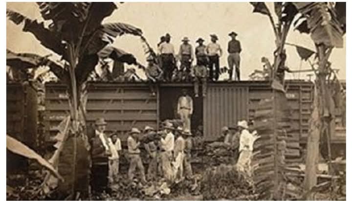 A 96 años de la masacre de las Bananeras, la lucha obrera sigue viva 3 FB IMG 1733528008515