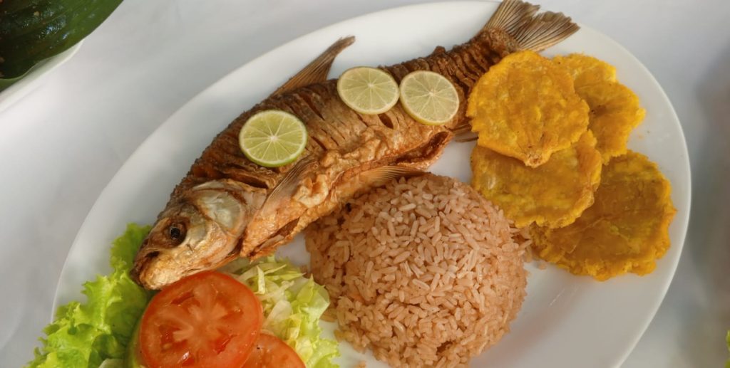 Sabanagrande se prepara para un río de sabor y alegría 1 IMG 20241211 WA0079 1