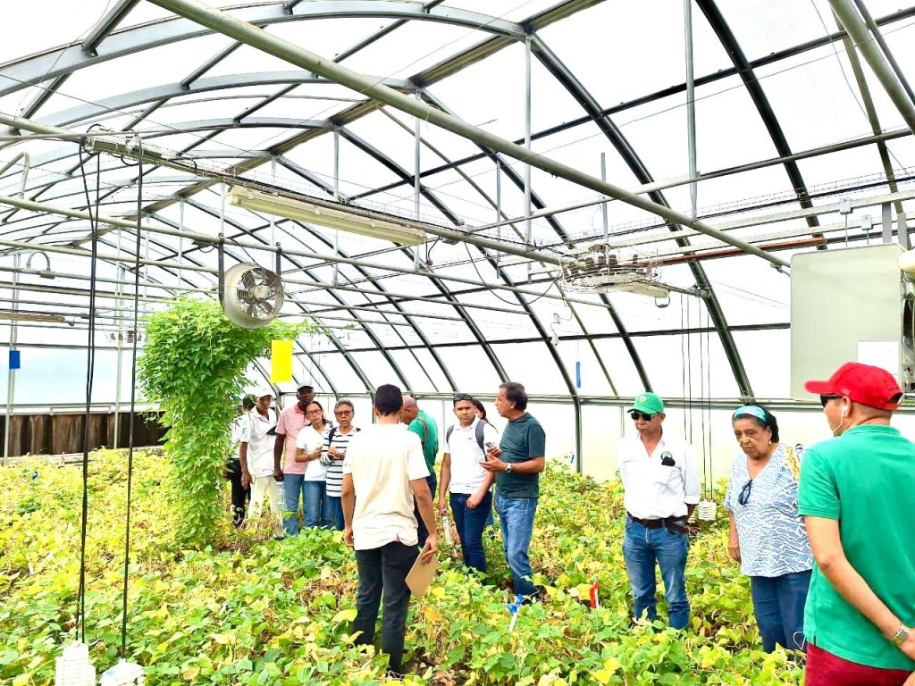 AUGURA, CIAT y MADR lideran proceso de formación para bananeros del Magdalena en Palmira, Valle del Cauca 2 WhatsApp Image 2024 12 03 at 12.20.54 PM 2