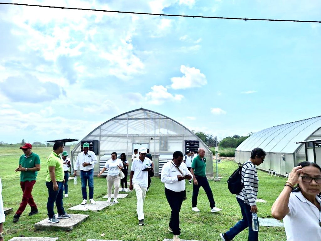 AUGURA, CIAT y MADR lideran proceso de formación para bananeros del Magdalena en Palmira, Valle del Cauca 1 WhatsApp Image 2024 12 03 at 12.20.55 PM