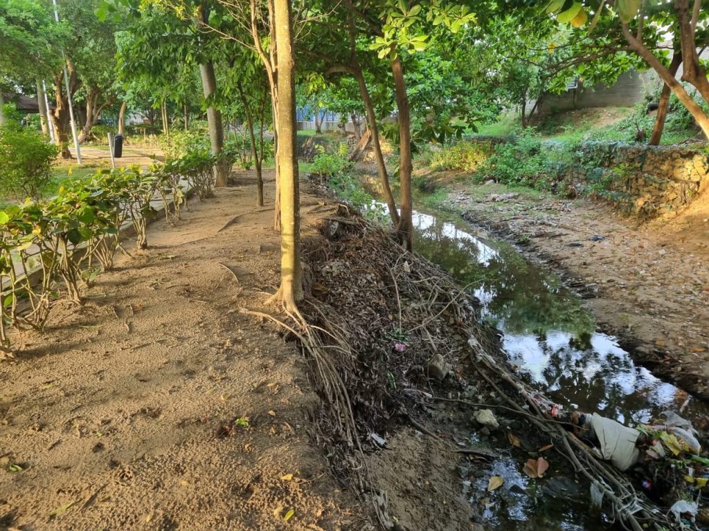 Ecoparque Jardín Botánico: el relicto de bosque seco tropical que clama por atención del Distrito 1 e036998f 7590 46f9 829c 3950db4f8620