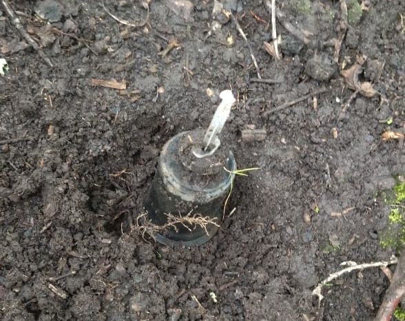 Ejército destruye explosivos cerca de zona residencial en Nariño 1 GhGwdejWIAA6bDp