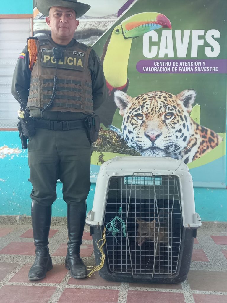 Policía Metropolitana de Santa Marta realiza planes para protección del medio ambiente 1 WhatsApp Image 2025 01 03 at 9.50.22 PM