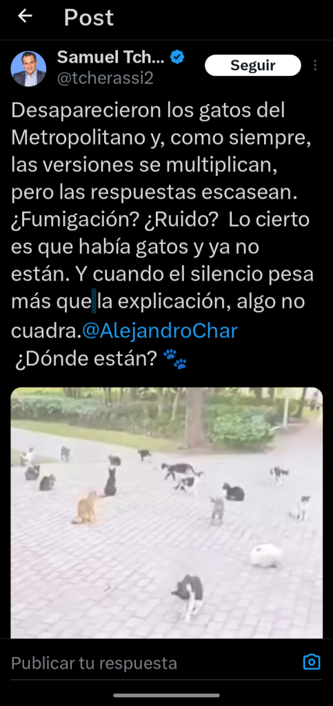 Desaparecidos: Las ratas hacen fiesta mientras se buscan los gatos 1 Screenshot 20250222 194947 811