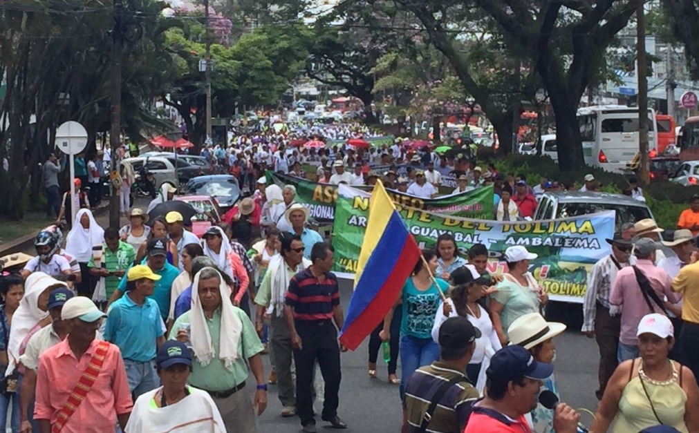 Urge solución inmediata a la crisis arrocera en Colombia 1 2a3bff3f a80c 48e7 b266 aaf3fdb1d713