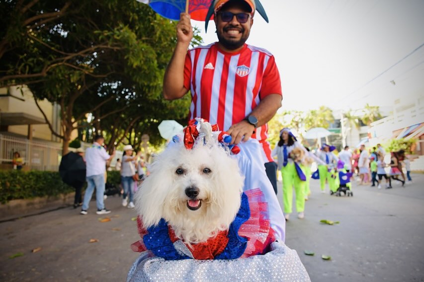 La alegría de la tradición desfila mañana en la calle 84 con “Salvaguarda y Niños en Carnaval” 2 482594447 18488337805032264 8240739218297990187 n 1