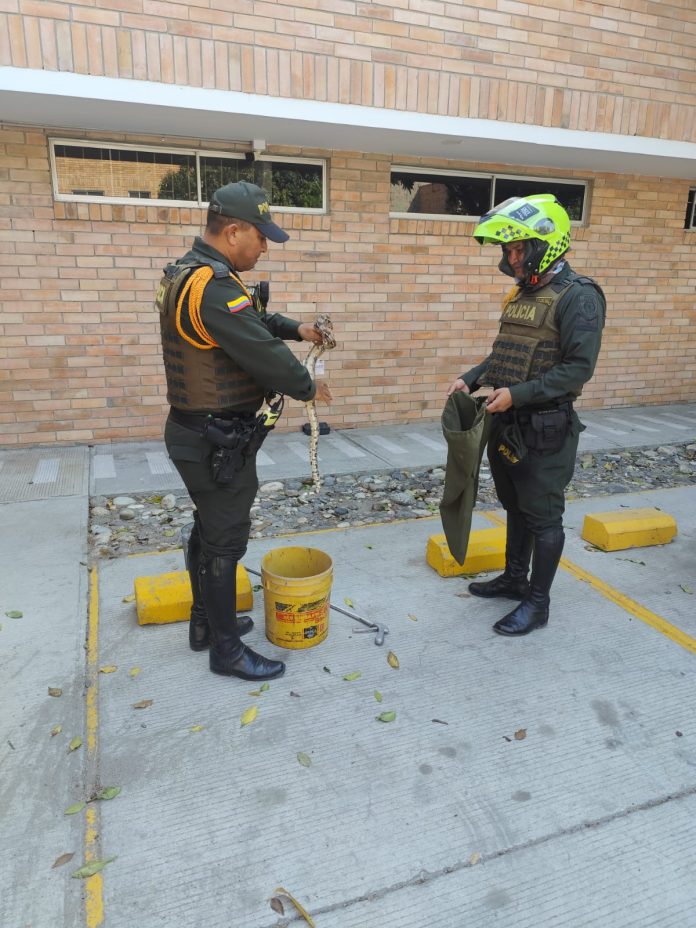 449705bd-1022-4c17-a991-d9ea81ceb942