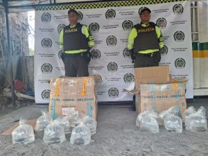 5360c56c bef4 4c2a 8784 cfea0ab53a55