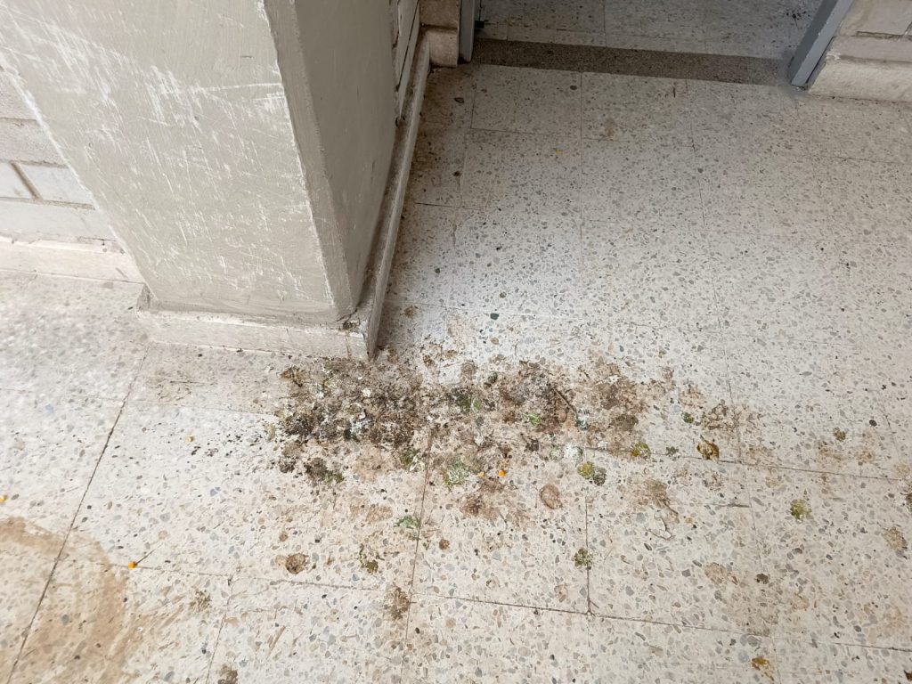 ADEA solicita de la Secretaría Distrital de Educación soluciones inmediatas a problemática de la IE Distrital Olaya 14 b4ab2d3c bcf5 4379 8be3 d97bd3859390