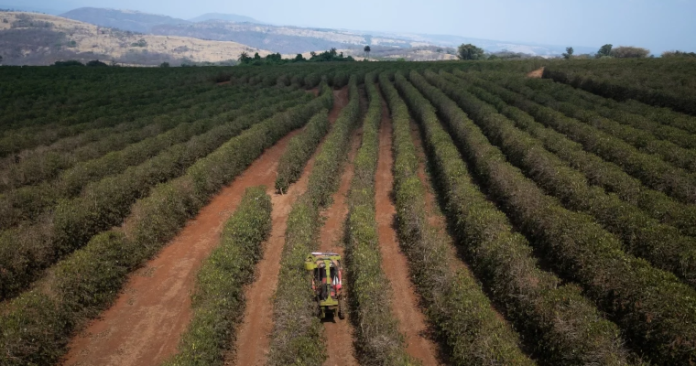 Agricultura en Colombia