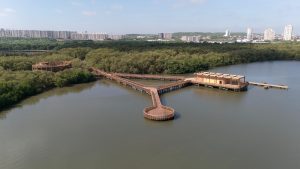 Barranquilla 4