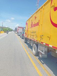 1930bb58 bdd9 4c76 ae9e 457c3e6f5966