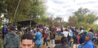 Imagen 1 10