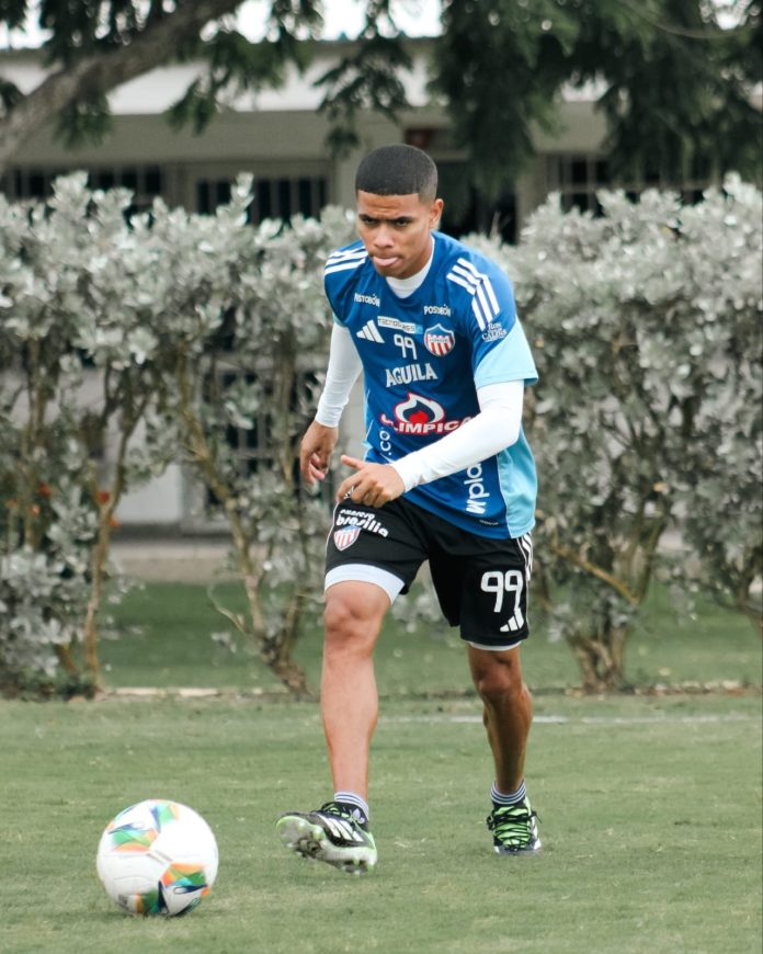 228f360a-9f46-4b86-8a5e-433c25d01348