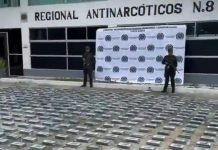 Golpe al narcotráfico en Santa Marta: incautan 579 kilos de cocaína ocultos en contenedor de banano con destino al Reino Unido