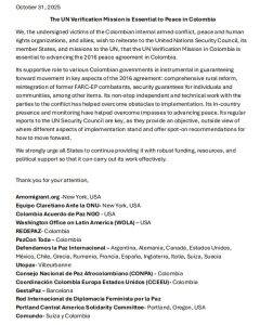 Organizaciones de paz y víctimas del conflicto piden a la ONU mantener su misión en Colombia 1 G4leBkmW4AA1VHE