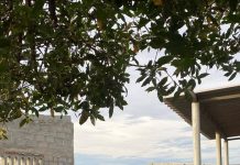 El mar se tragó las calles de Puebloviejo y el alcalde… ¿dónde está?