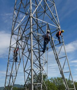 Enlaza y Fundación Cerro Seco fortalecen conexión entre la energía, la naturaleza y las comunidades en Santa Marta 1 WhatsApp Image 2025 10 28 at 15.35.27
