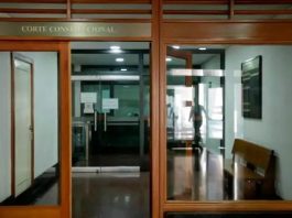 Corte Constitucional