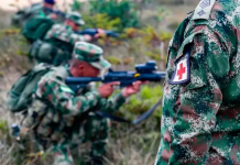 Cinco integrantes del Clan del Golfo murieron en operación militar en Abriaquí